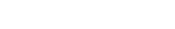 SkyloInvoice logo light
